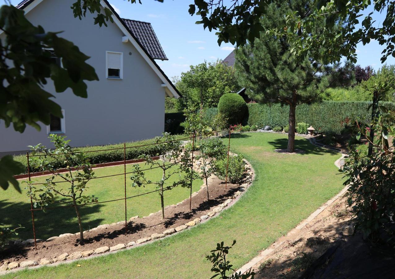Duft- Und Parfuemfreie Allergiker-Fewo Mertendorf Zewnętrze zdjęcie